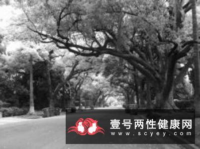 远离令人烦恼的“腺”炎