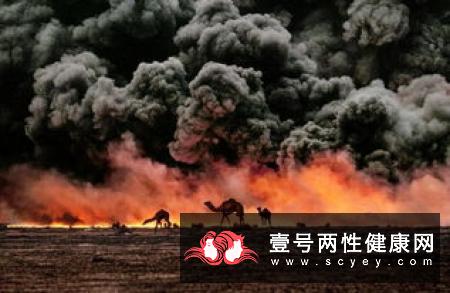 阴茎：莫问长短，只在乎硬软