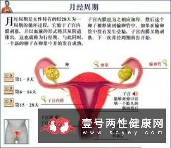 紧急避孕药对月经的影响有哪些