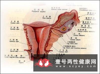 不孕不育简单来说就是夫妻同房时在未做避孕的情况之下