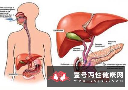 不爱喝水大部分男人对喝水都没多大兴趣,甚至不觉得它重要,但其实这样很容易造成身体上的重大伤害