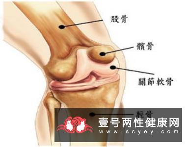 你听说过睾丸毛囊炎吗?揭秘睾丸毛囊炎的治疗方法