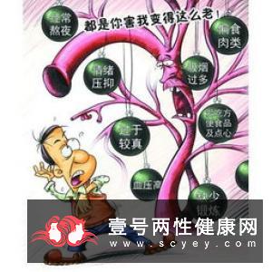 男性练瑜伽有什么好处 能谨防心脑血管疾病