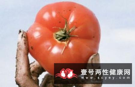 西红柿―防晒的天然保护伞