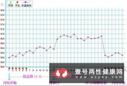 最佳受孕时间是怎样计算的