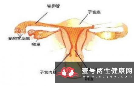 紧急避孕药后出血是怎么回事