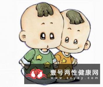 胎儿亲子鉴定的方法