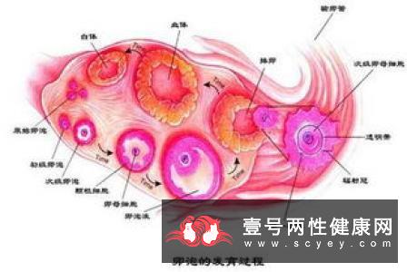 导致老年痴呆的病因介绍！