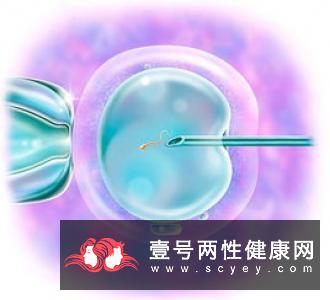 胚胎移植后应该注意什么