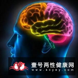 10种生活方式可以延长寿命