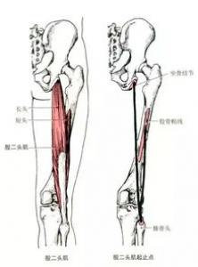 封闭抗体全阴该怎么治疗