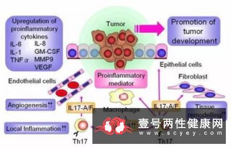 10种生活方式可以延长寿命