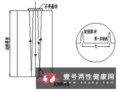 腭反射检查法