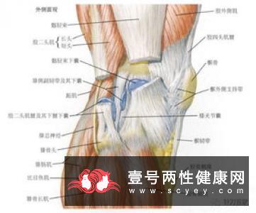 水中行走可强健膝盖预防关节炎