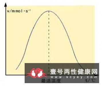 蛋白质变性的原因