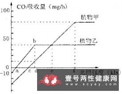 变性对蛋白质功能性质的影响